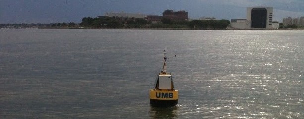 CESN buoy 2 near JFK Library