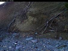 bluff erosion camera